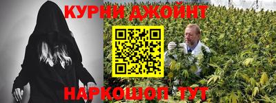 индика Заволжье