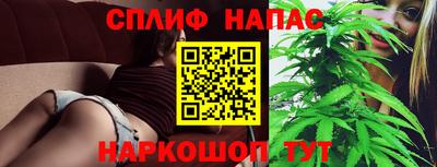 индика Заволжье