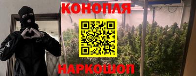 эйфоретик Жуковский