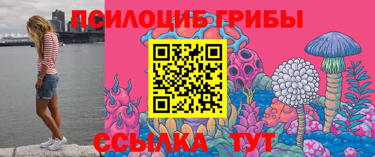 Галлюциногенные грибы Psilocybine cubensis  Вход с VPN  Изобильный 
